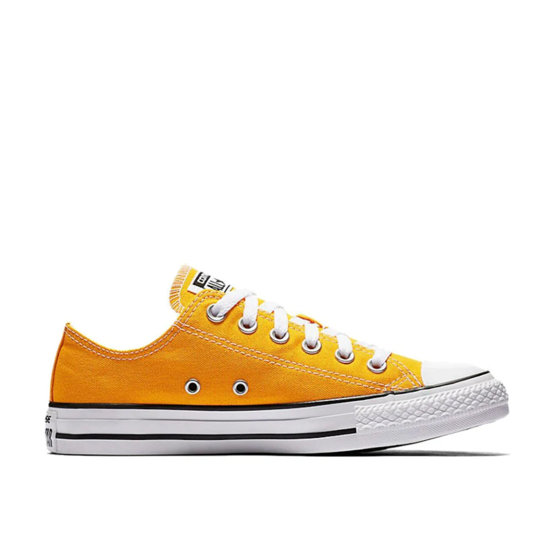 Zapato Clasico Stars